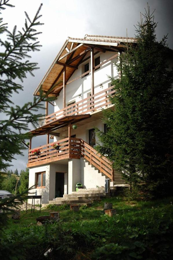 Casa De Vacanta Two Brothers Concept Пелтініш Екстер'єр фото